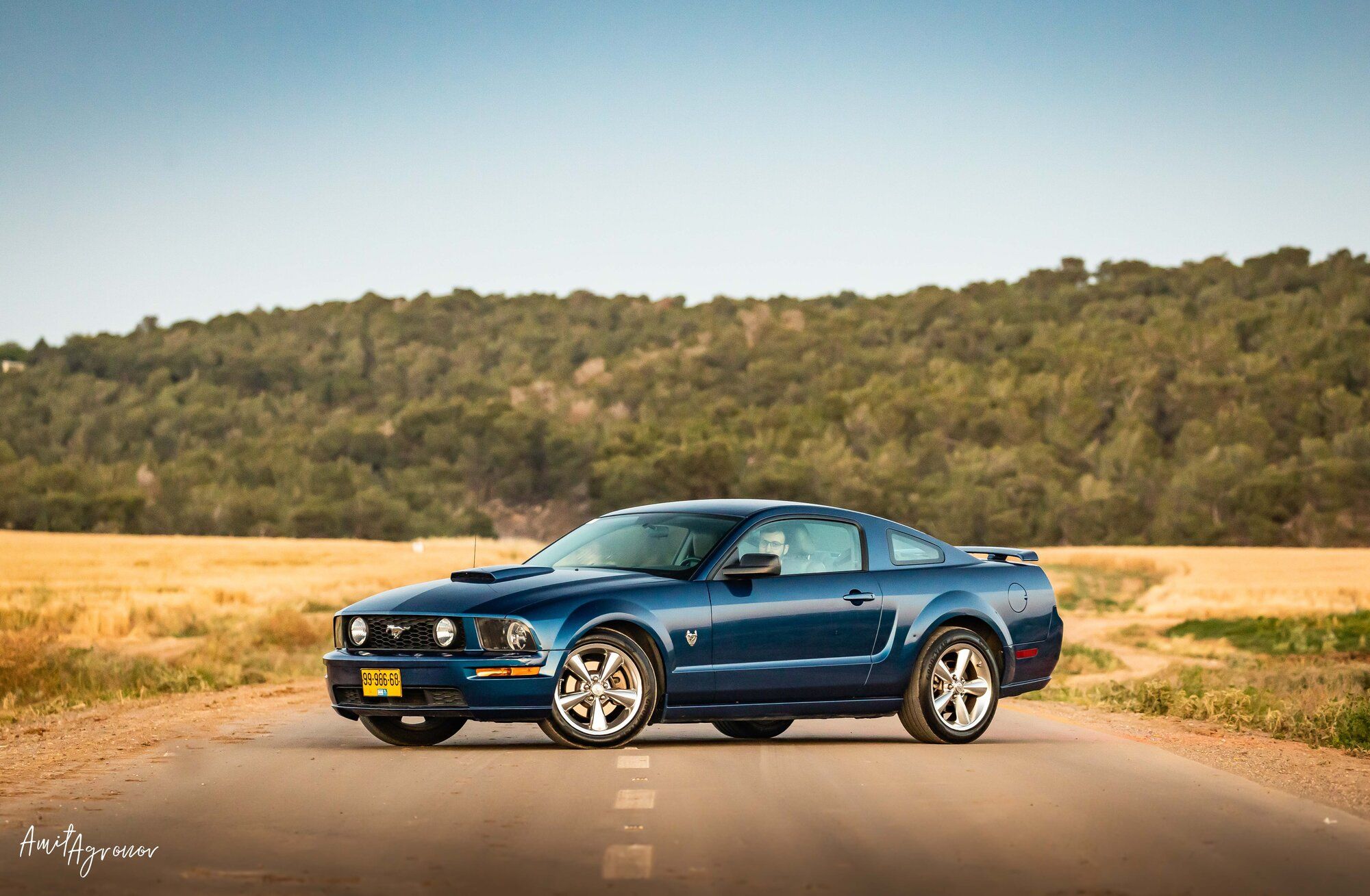2009 Mustang
GT_46L  (Alon's 3v)