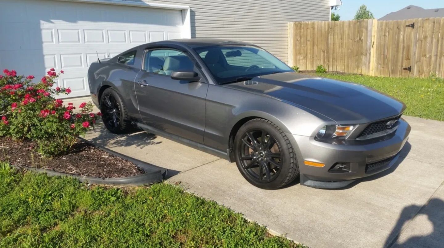2011 Mustang
V6  (Backroad DD)