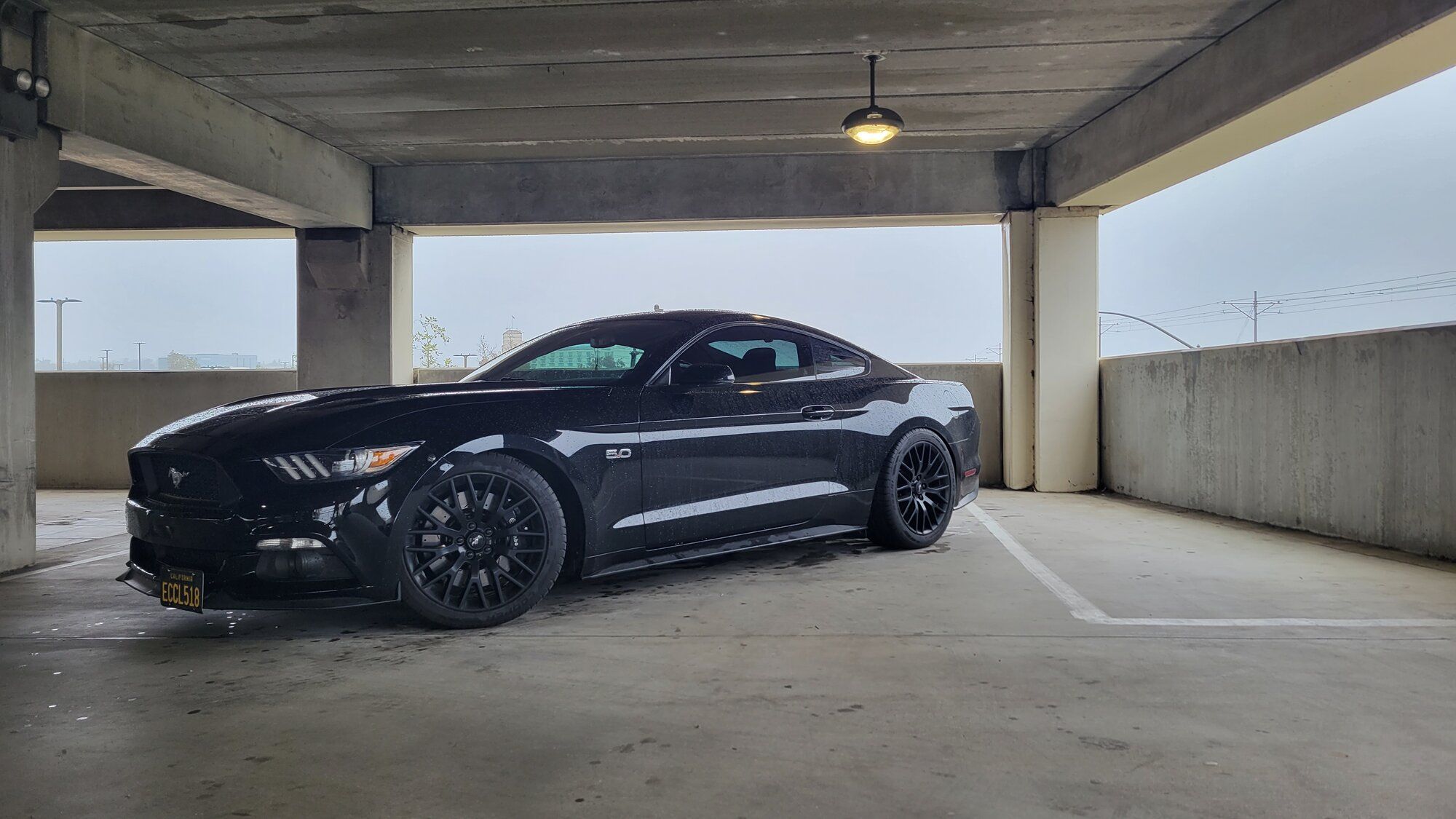 2015 Mustang
GT AutoX -  (Begining the journey)