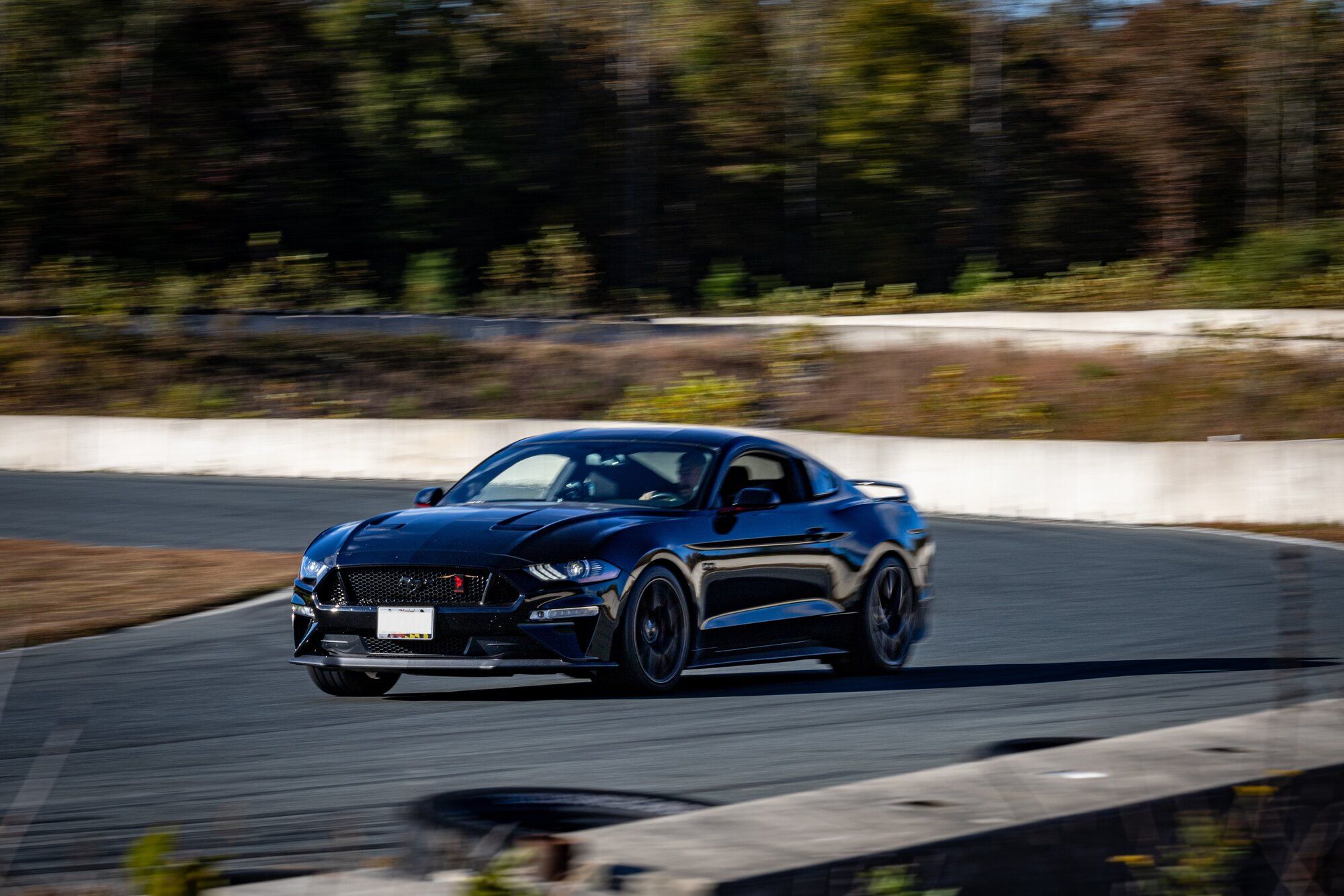 2019 Mustang
GT HPDE/Track -  (Black Sunshine)