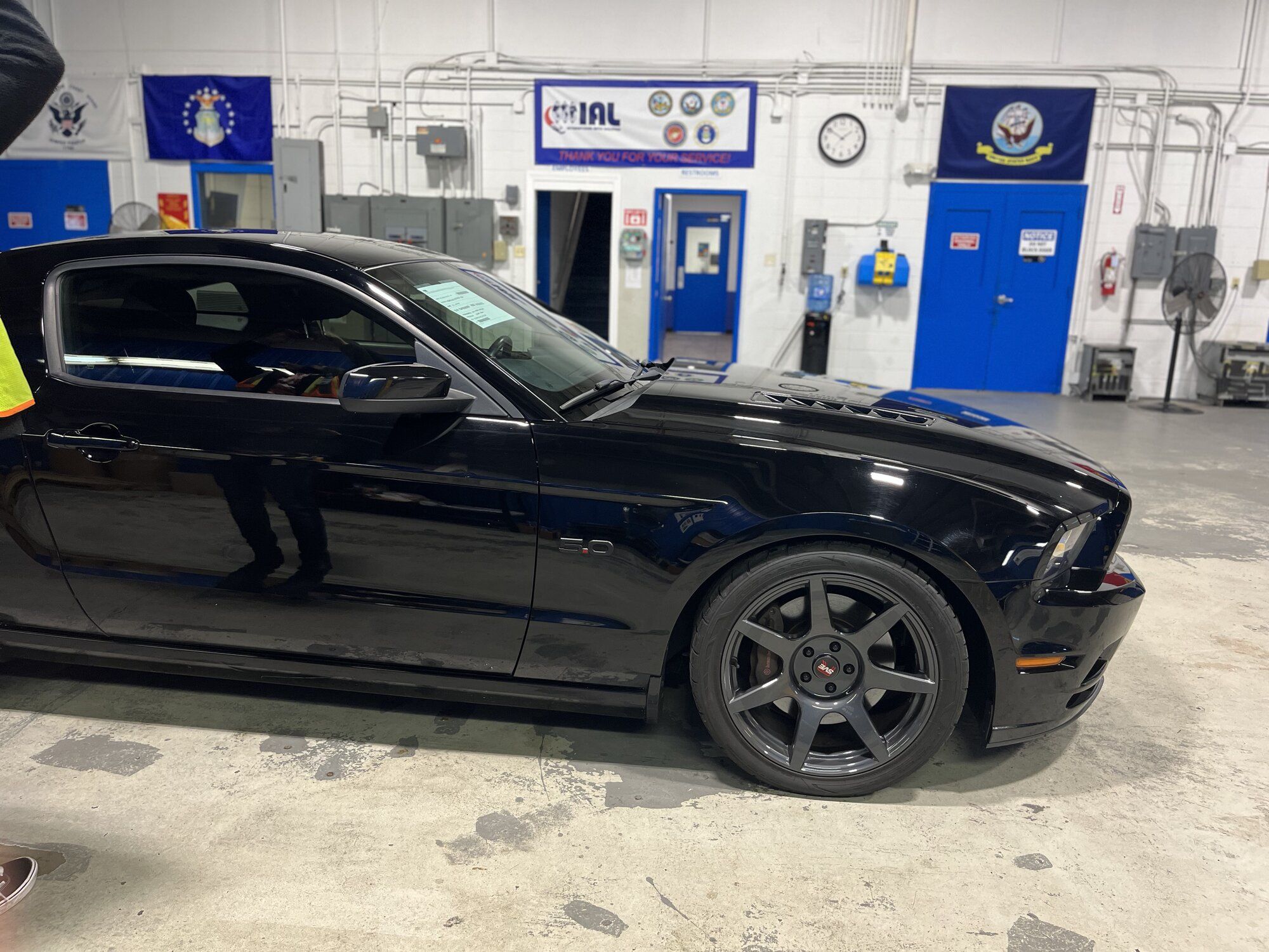 2014 Mustang
GT_50L  (Chomper)