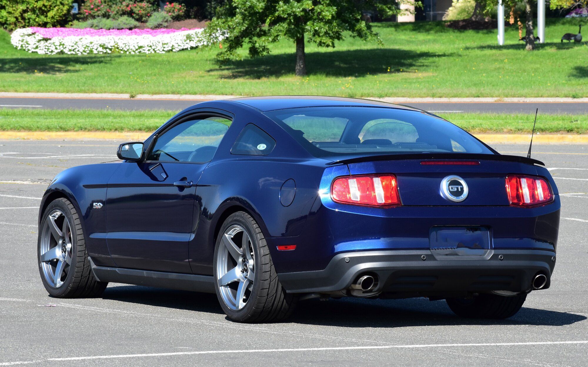 2012 Mustang
GT_50L  (CoyoteShy)