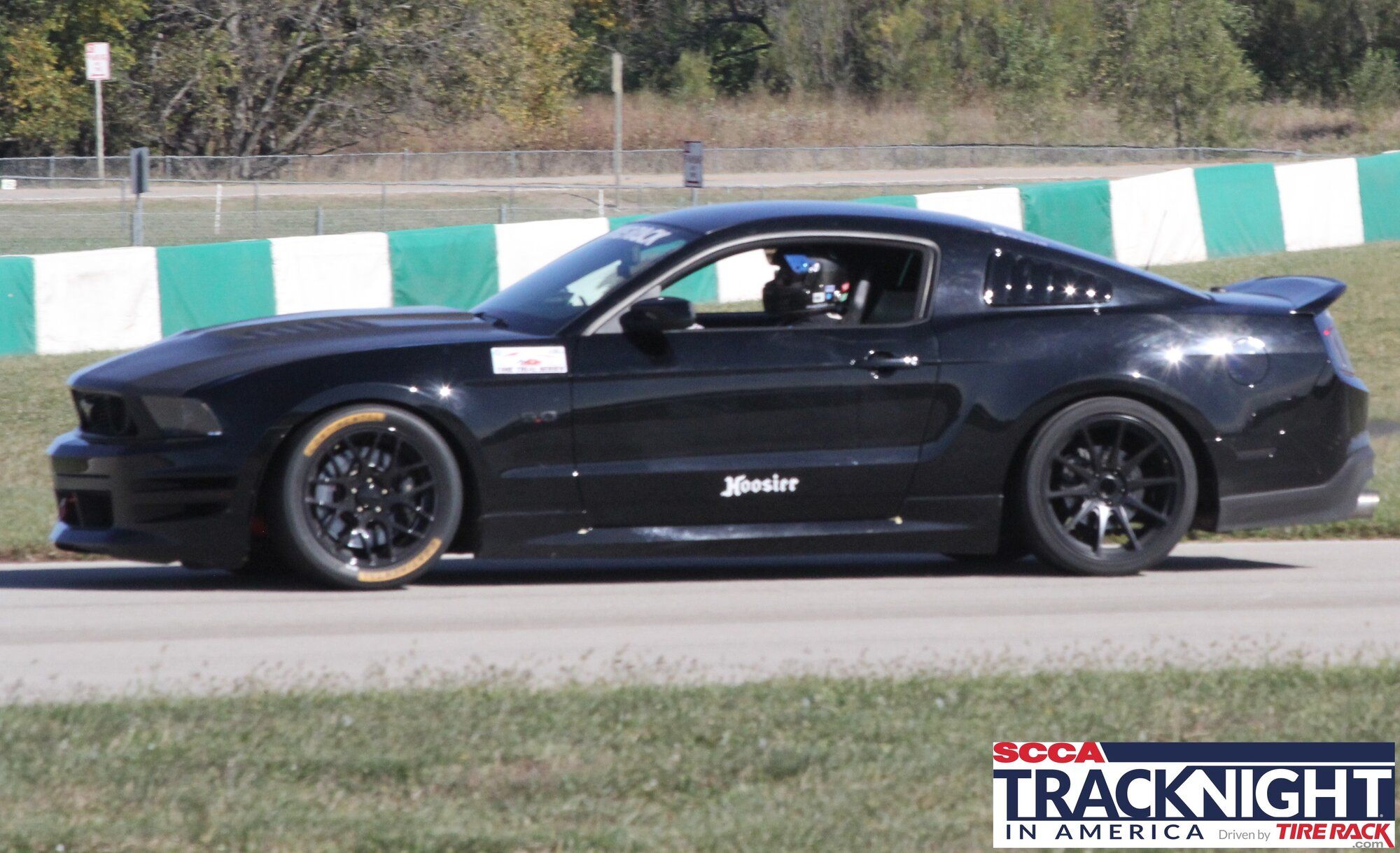 2011 Mustang
GT_50L  (Cujo Lite)