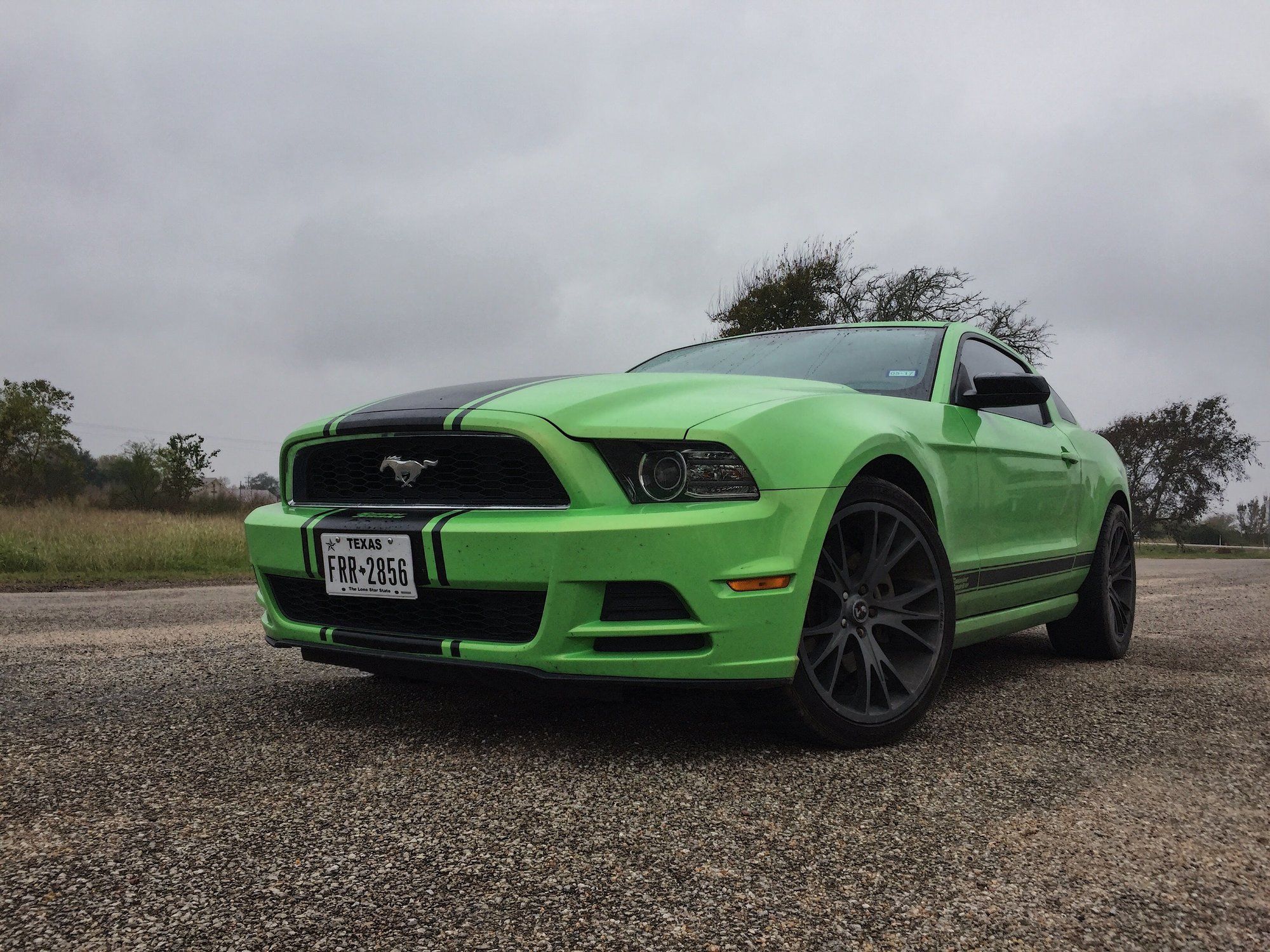 2013 Mustang
V6 HPDE/Track -  (CYCLN3.7)