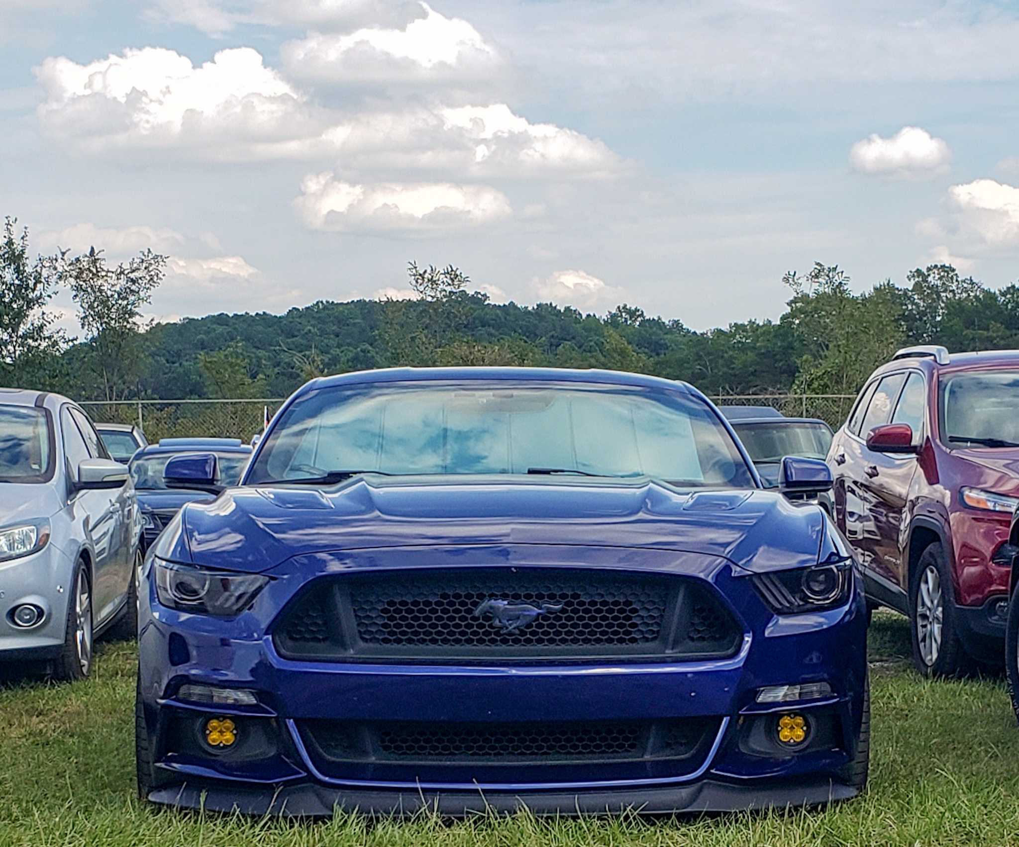 2015 Mustang
GT  (Daily Driven)