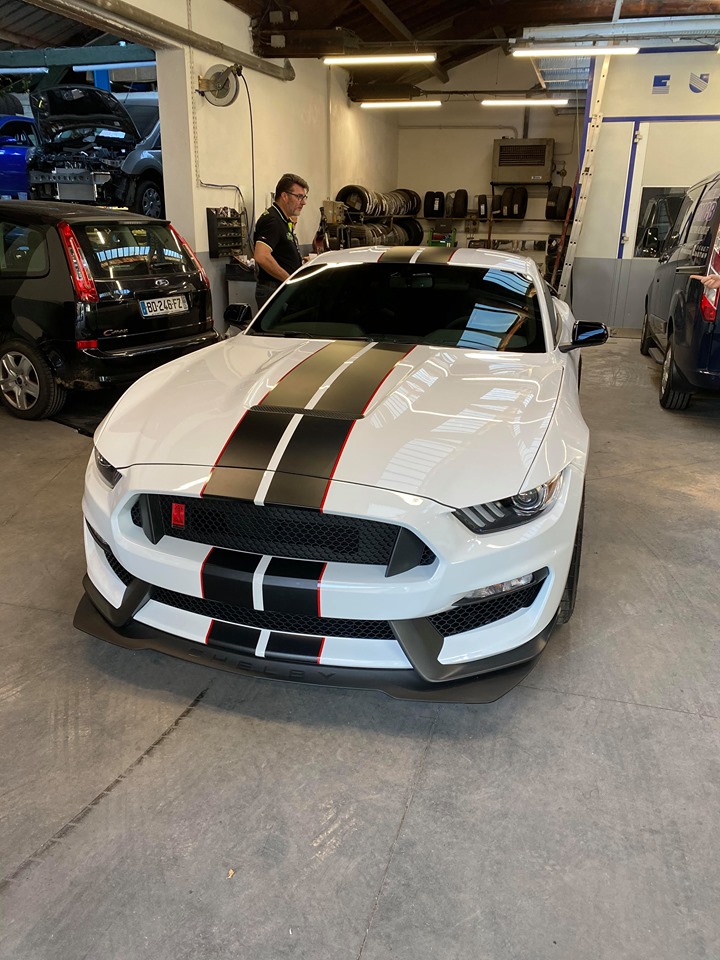 2017 Mustang
GT350  (French Shelby GT350R)