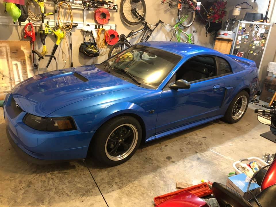 2000 Mustang
("Gonzo" the 2000 GT)