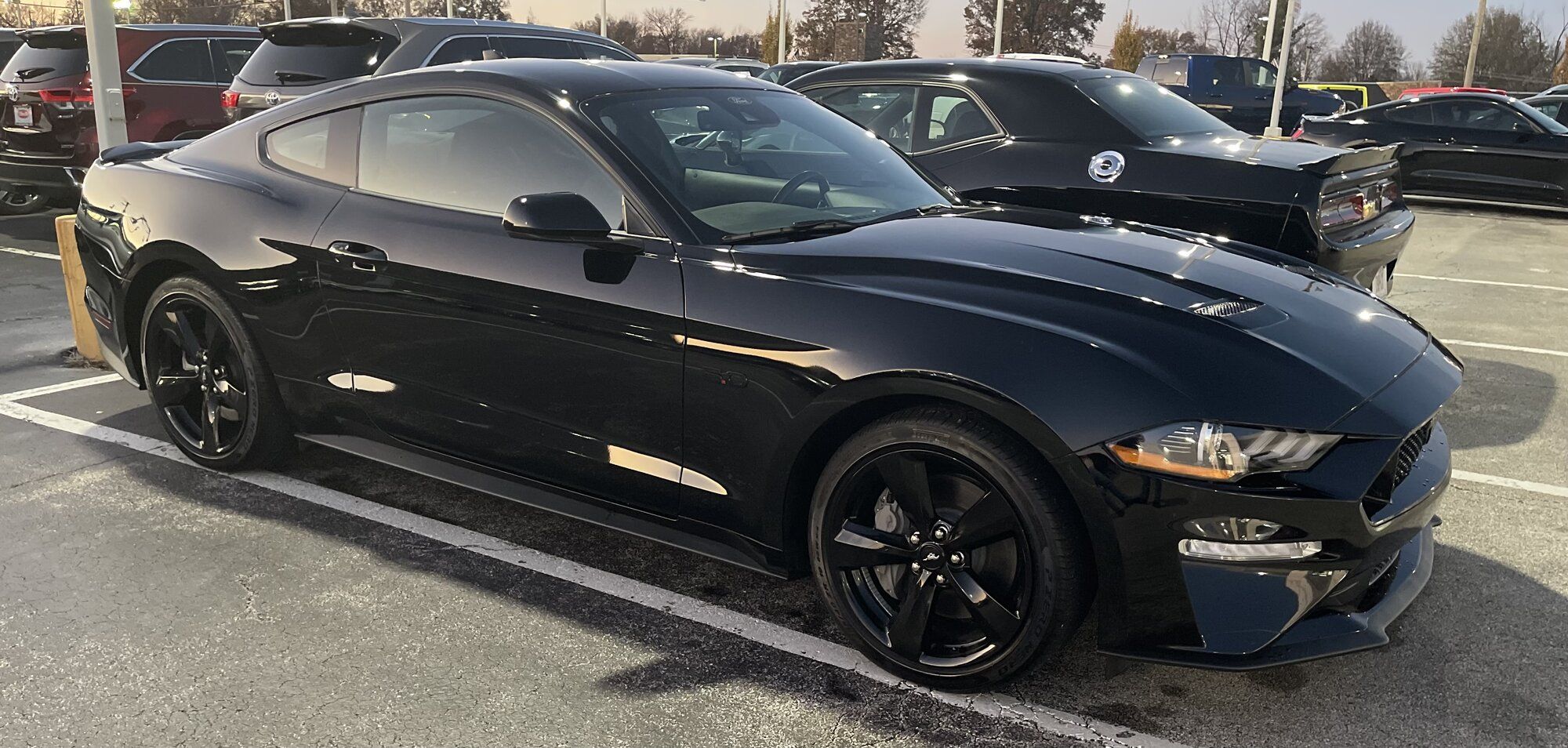 2021 Mustang
GT  (Holly's Ride)