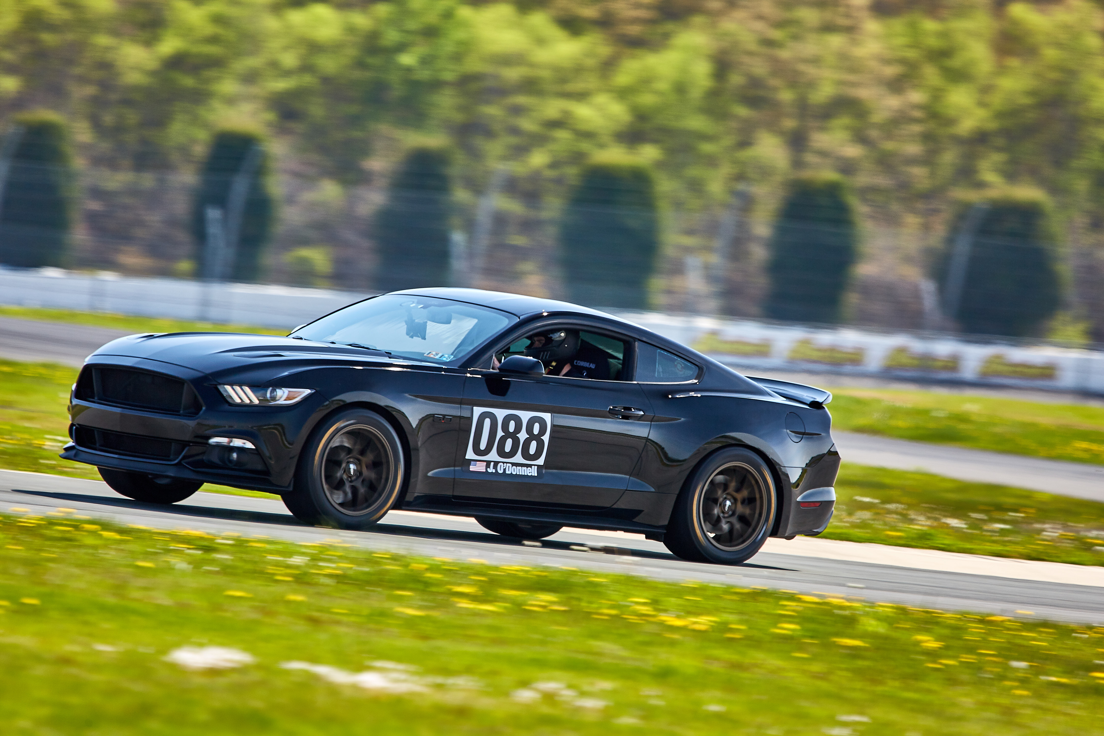 2017 Mustang
GT Road Race -  (HPDE - Track Toy)