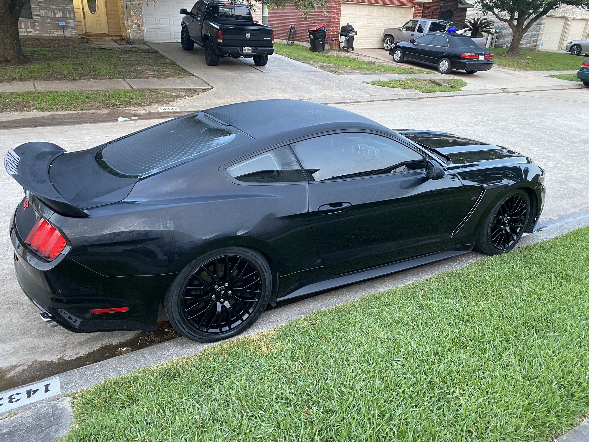 2015 Mustang
GT  (Jacquelyn MS Nasty)