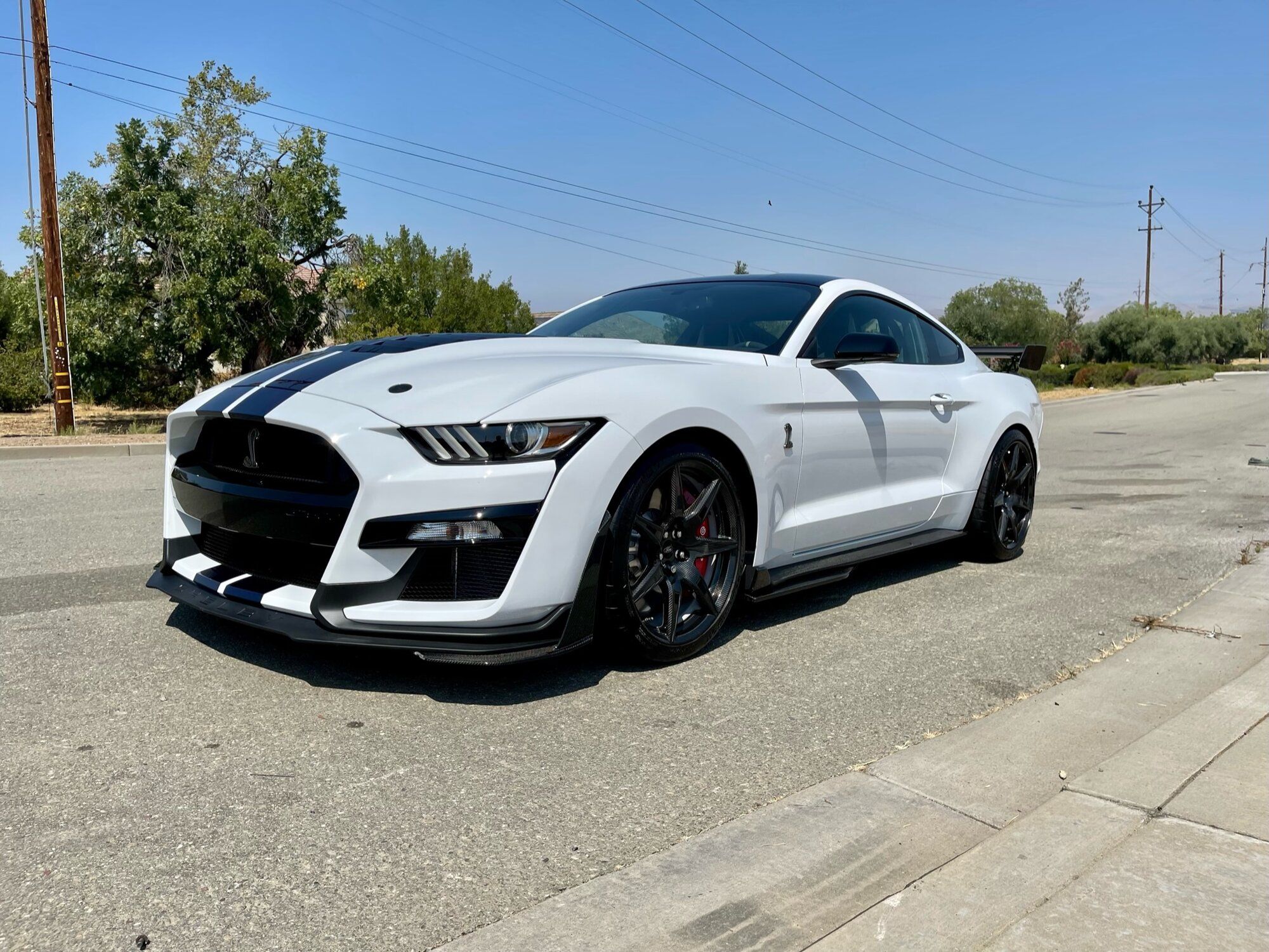 2020 Mustang
GT500 HPDE/Track -  (Jeff's GT500 CFTP)