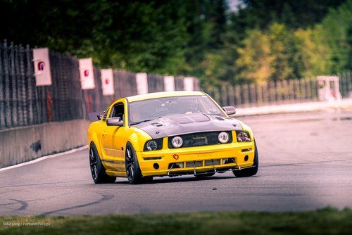 2005 Mustang
GT_46L  (Killer Bee)