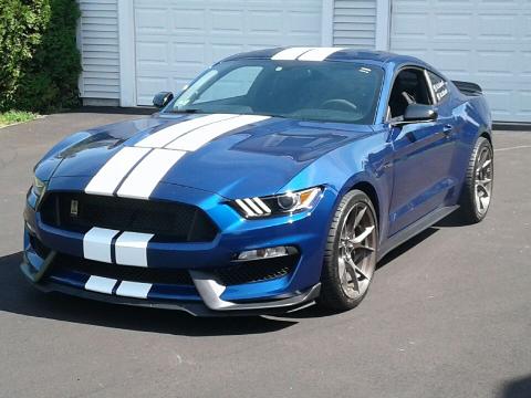 2016 Mustang
GT350  (Mustangs: I could quit anytime I want to ! .....no, not really.)
