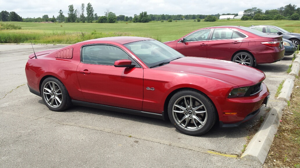 2011 Mustang
GT_50L  (My Toy)
