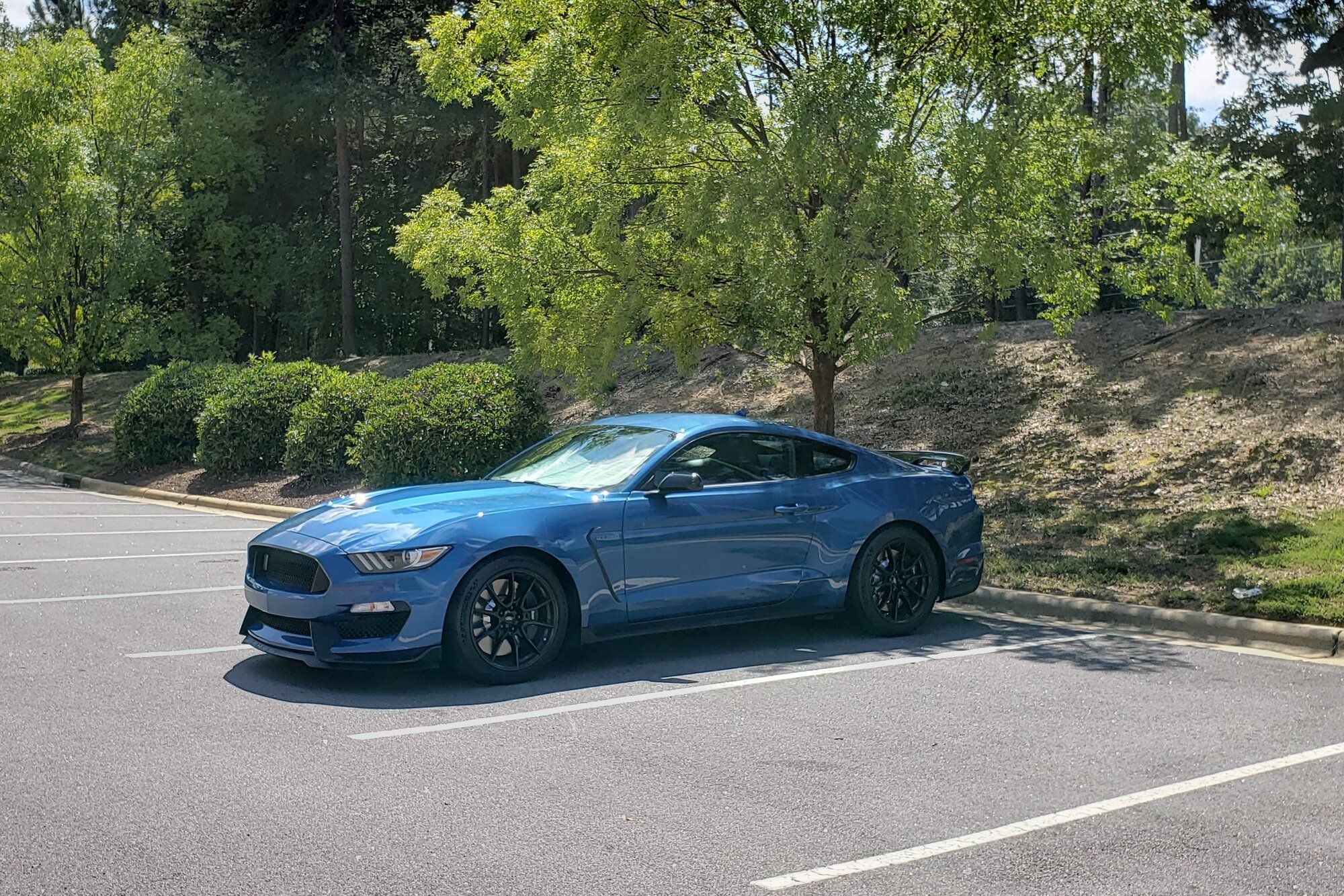2020 Mustang
GT350 HPDE/Track -  (Performance Blue GT350 HPDE Car)