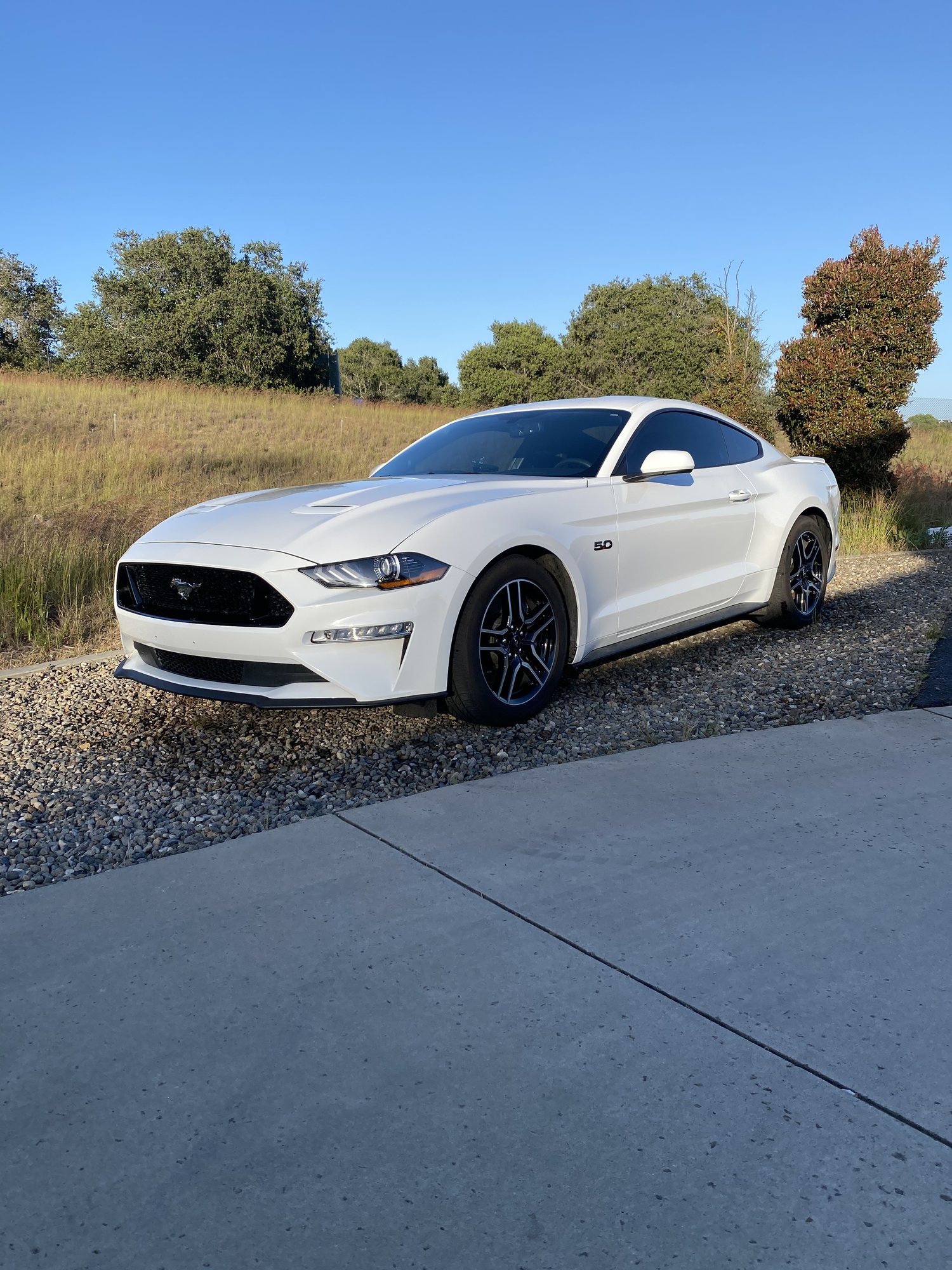 2019 Mustang
GT Road Race -  (Project: Backroads)