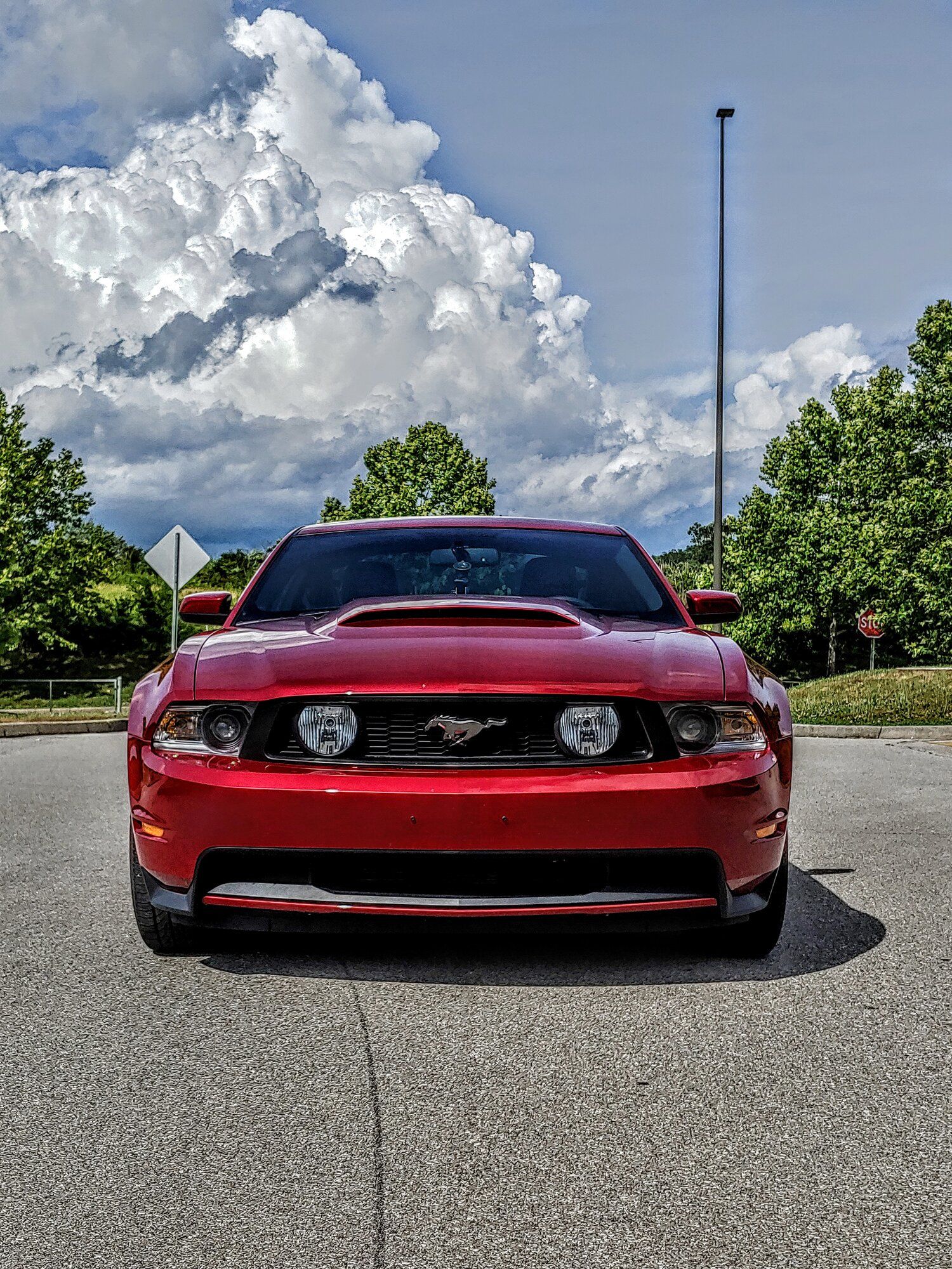 2011 Mustang
GT_50L  (Scarlett)