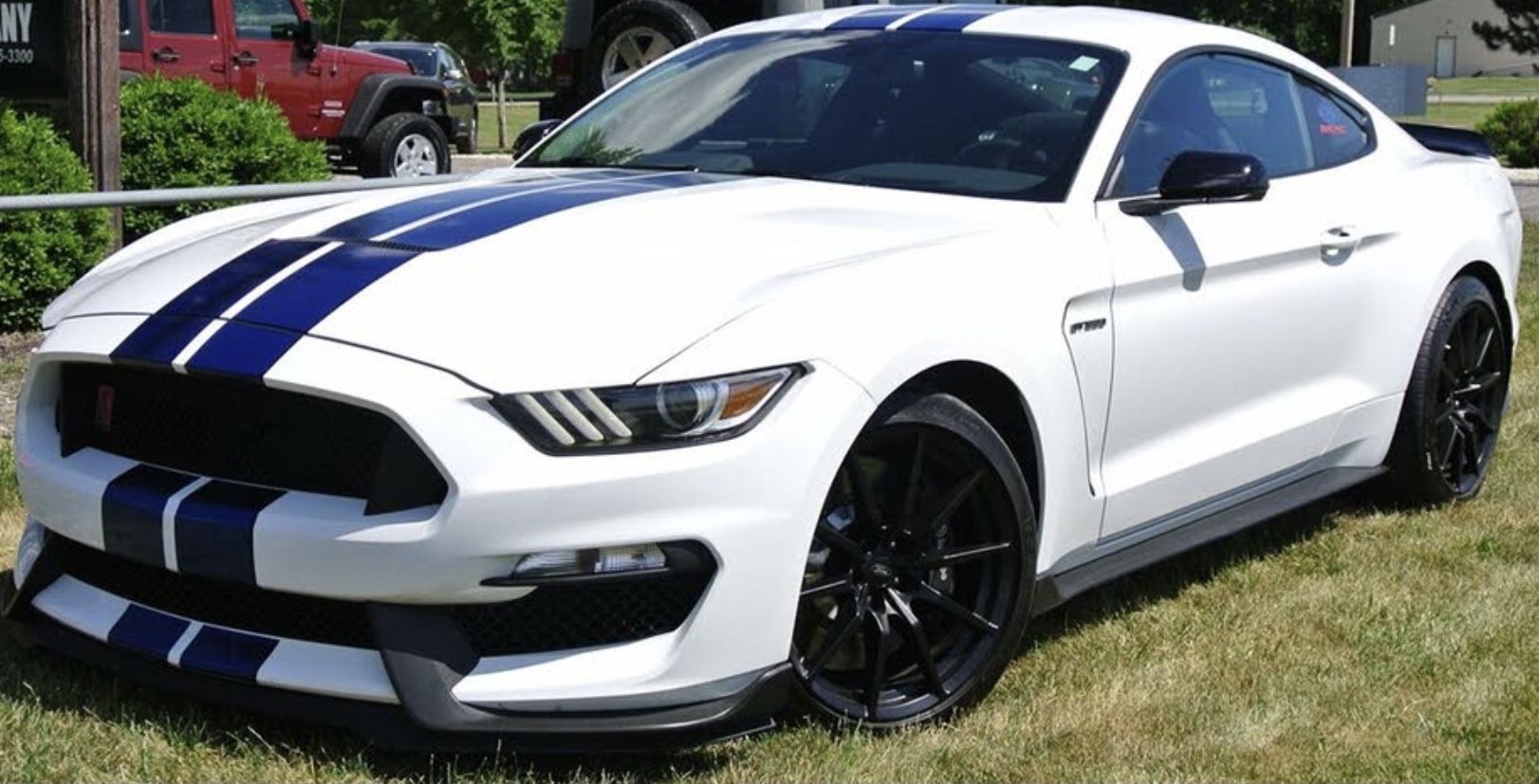 2018 Mustang
GT350  (Stock but maybe…)