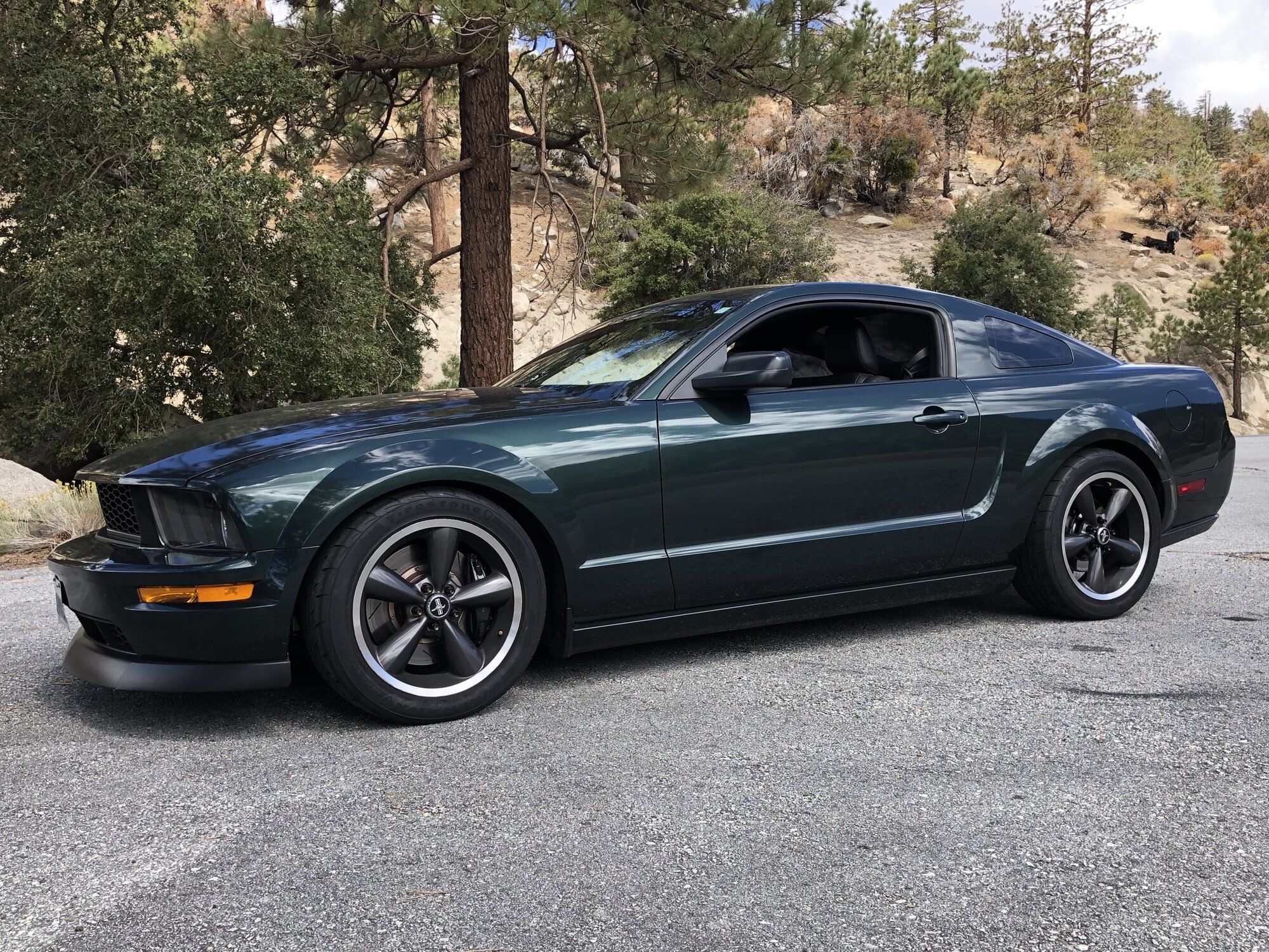 2008 Mustang
GT_46L HPDE/Track -  (Street/Canyon Build)