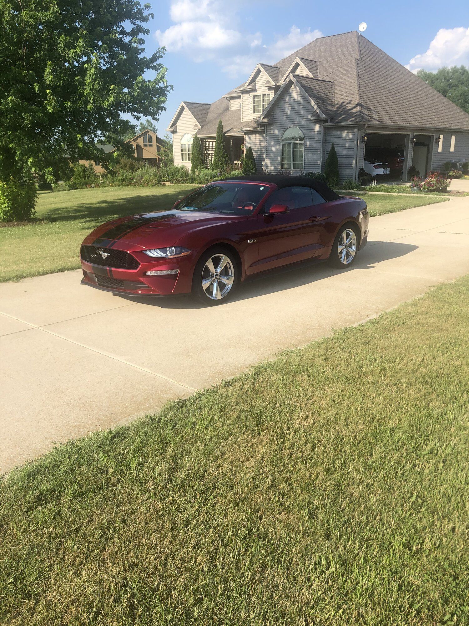 2019 Mustang
GT  (Terri's Ride)