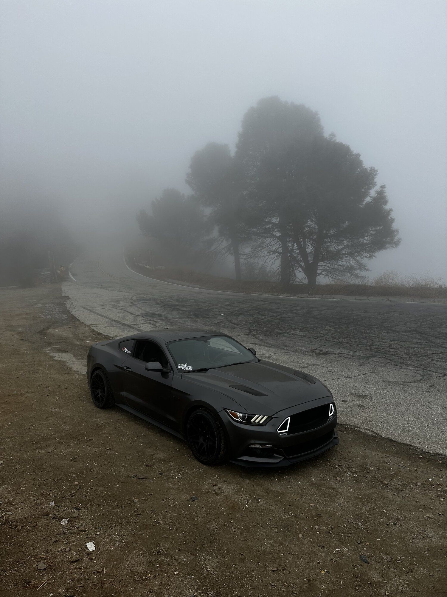 2015 Mustang
GT  (The cumstang)
