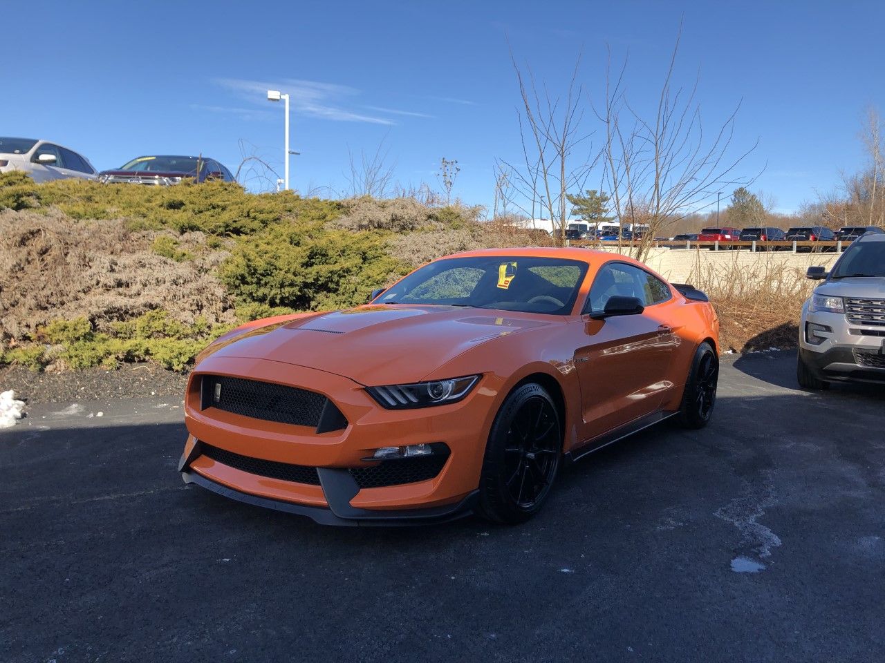 2020 Mustang
GT350  (Weekend / 'Track Night' Toy)