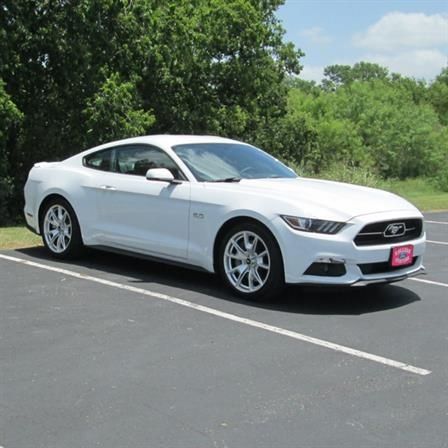 2015 Mustang
GT  (Whitemare)